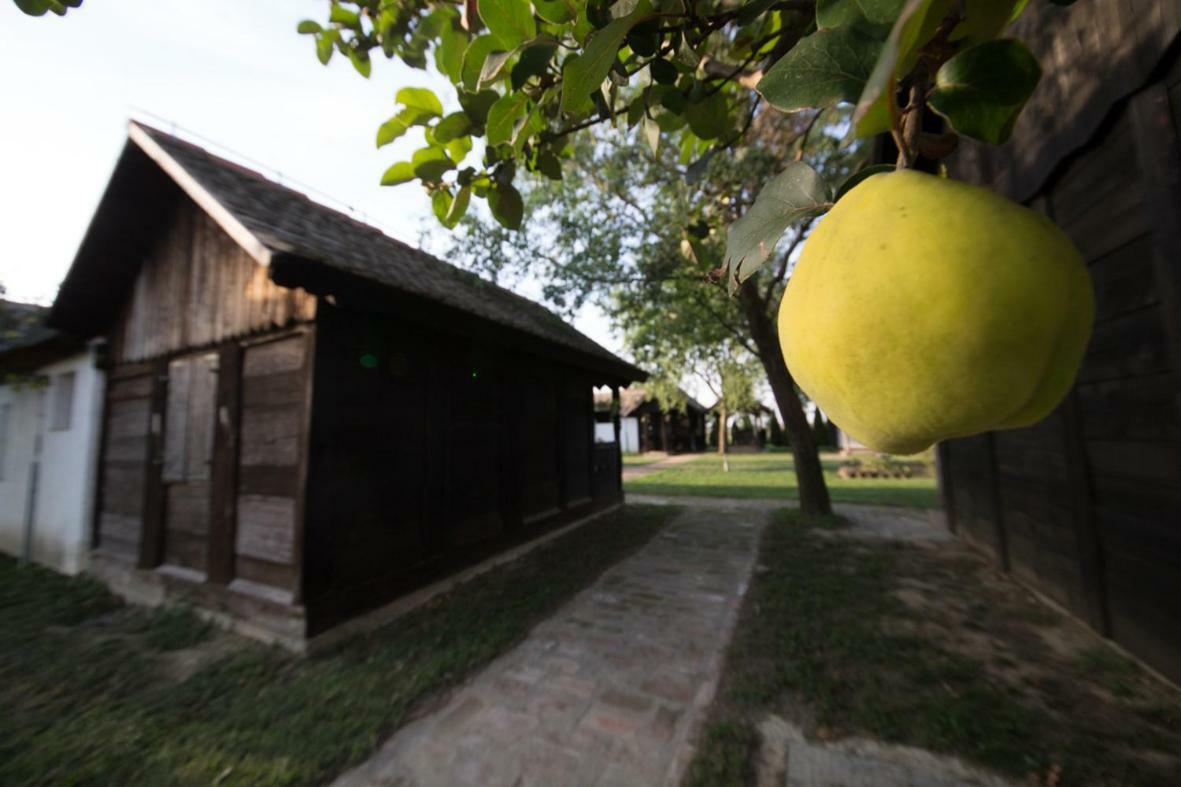 Acin Salas Tordinci Bagian luar foto