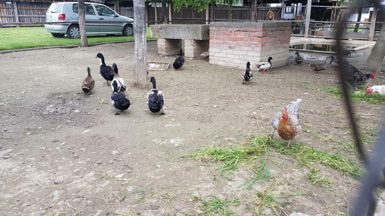 Acin Salas Tordinci Bagian luar foto