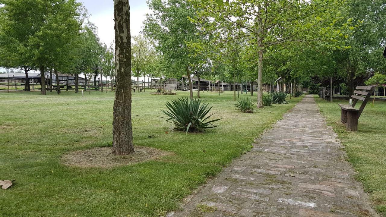 Acin Salas Tordinci Bagian luar foto